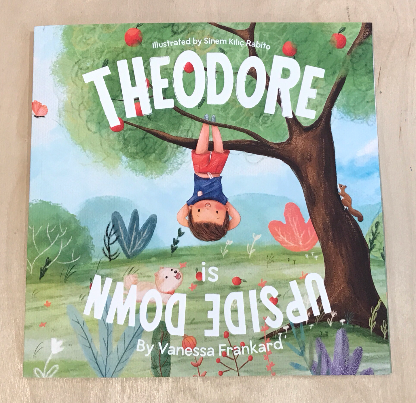 Theodore is Upside Down - Story Book