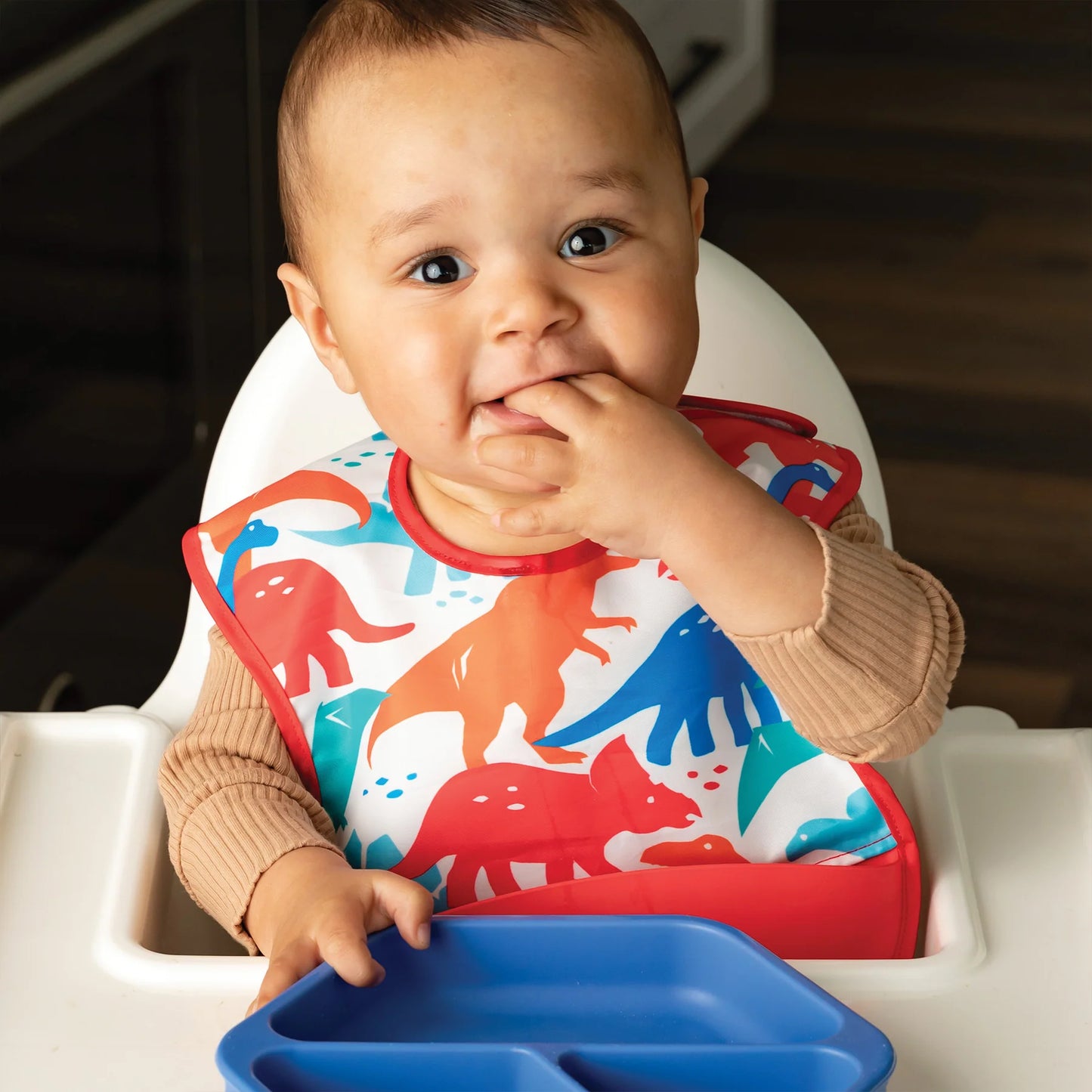 Tiny Twinkle-Mess-Proof Silicone Pocket Bib 2 Pack - Red Dino