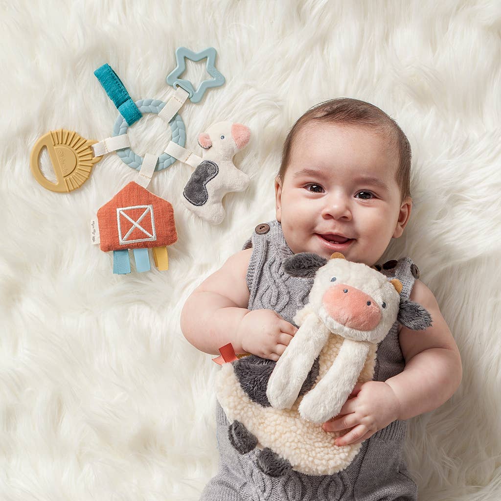 Itzy Ritzy - *NEW OPTION* Bitzy Busy Ring™ Teething Activity Toy: Bunny