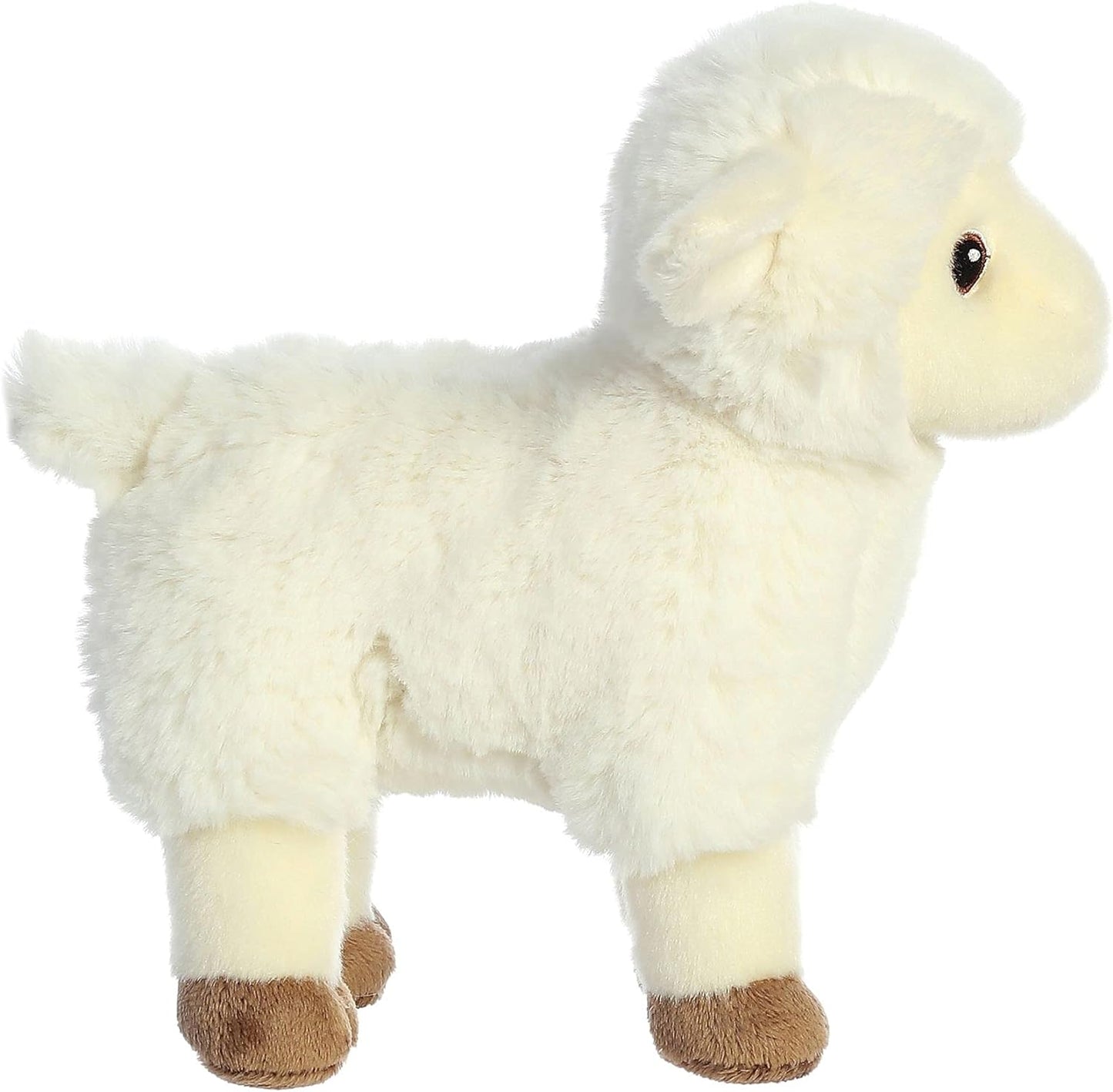 Eco Nation Lamb