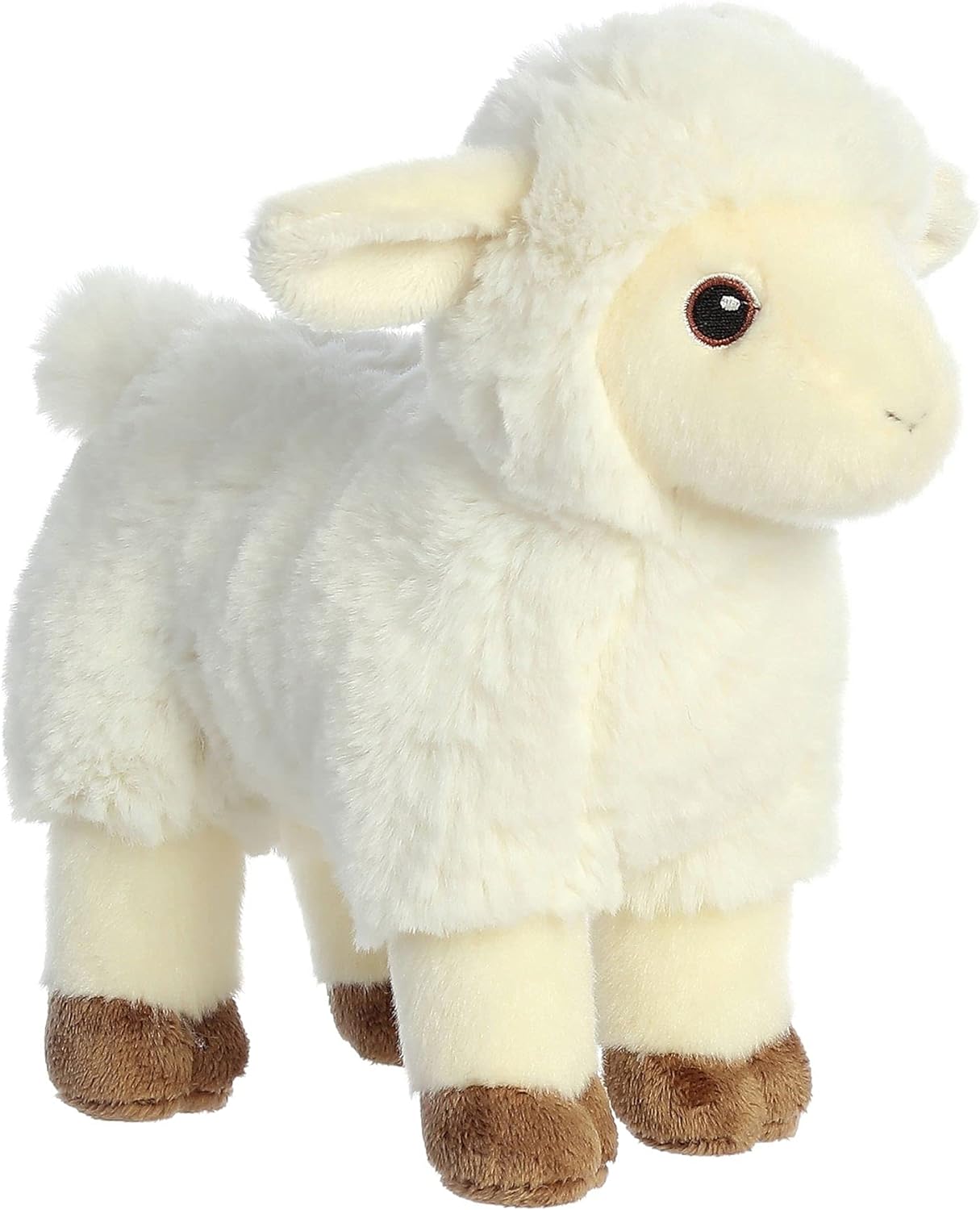 Eco Nation Lamb