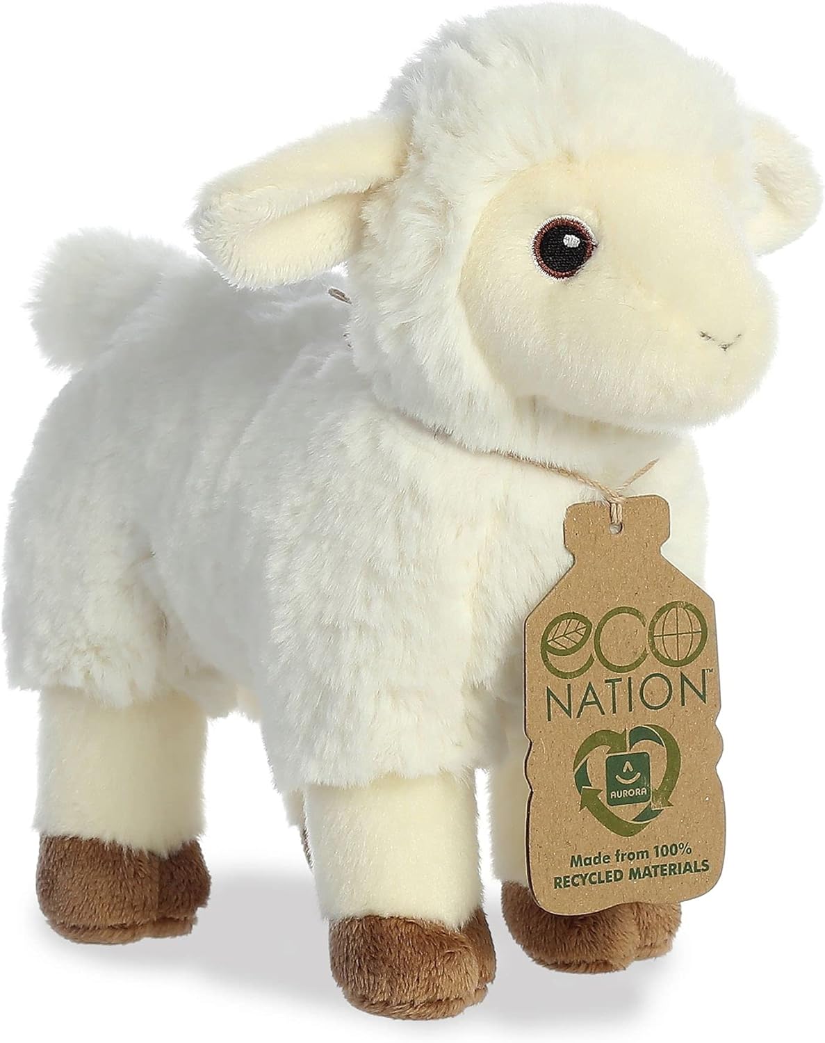 Eco Nation Lamb