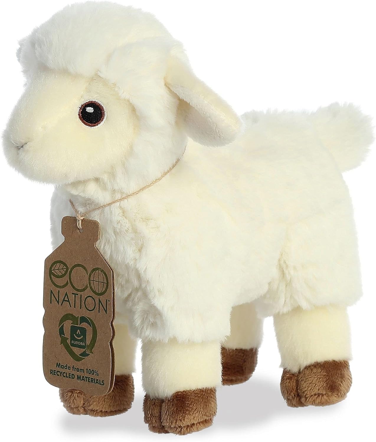 Eco Nation Lamb