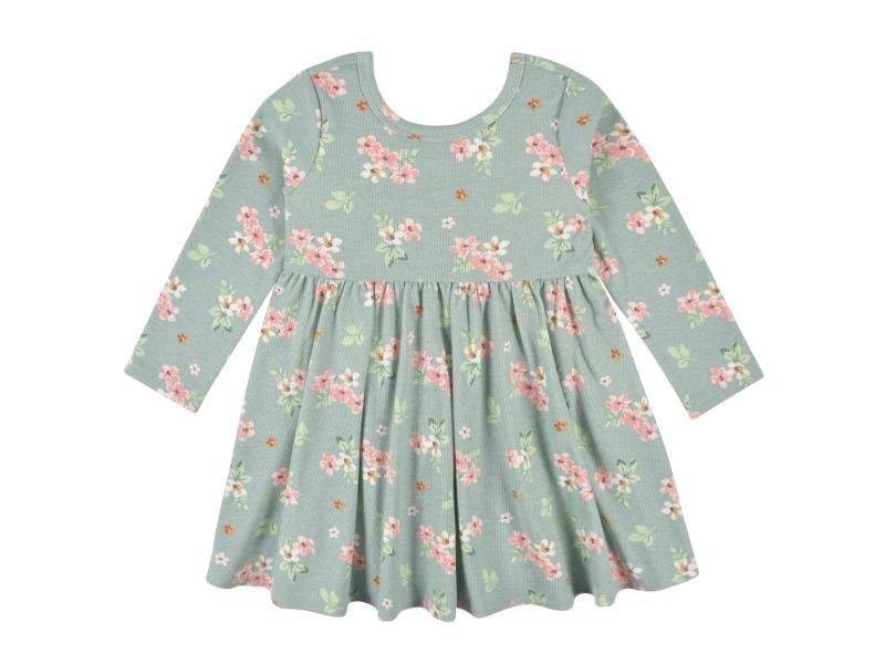 Gerber - 2-Pack Baby Girls Green Floral Long Sleeve Dresses