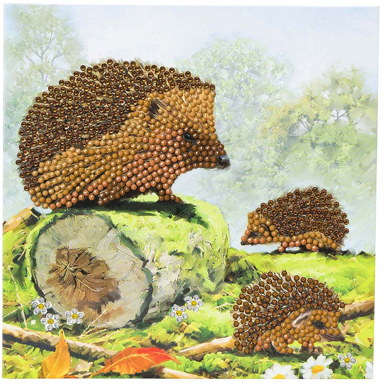 Craft Buddy - CA Card Kit: Happy Hedgehogs