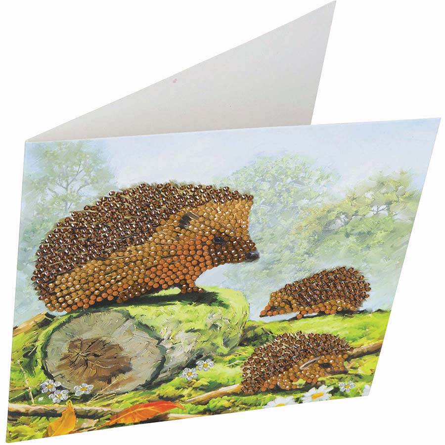 Craft Buddy - CA Card Kit: Happy Hedgehogs