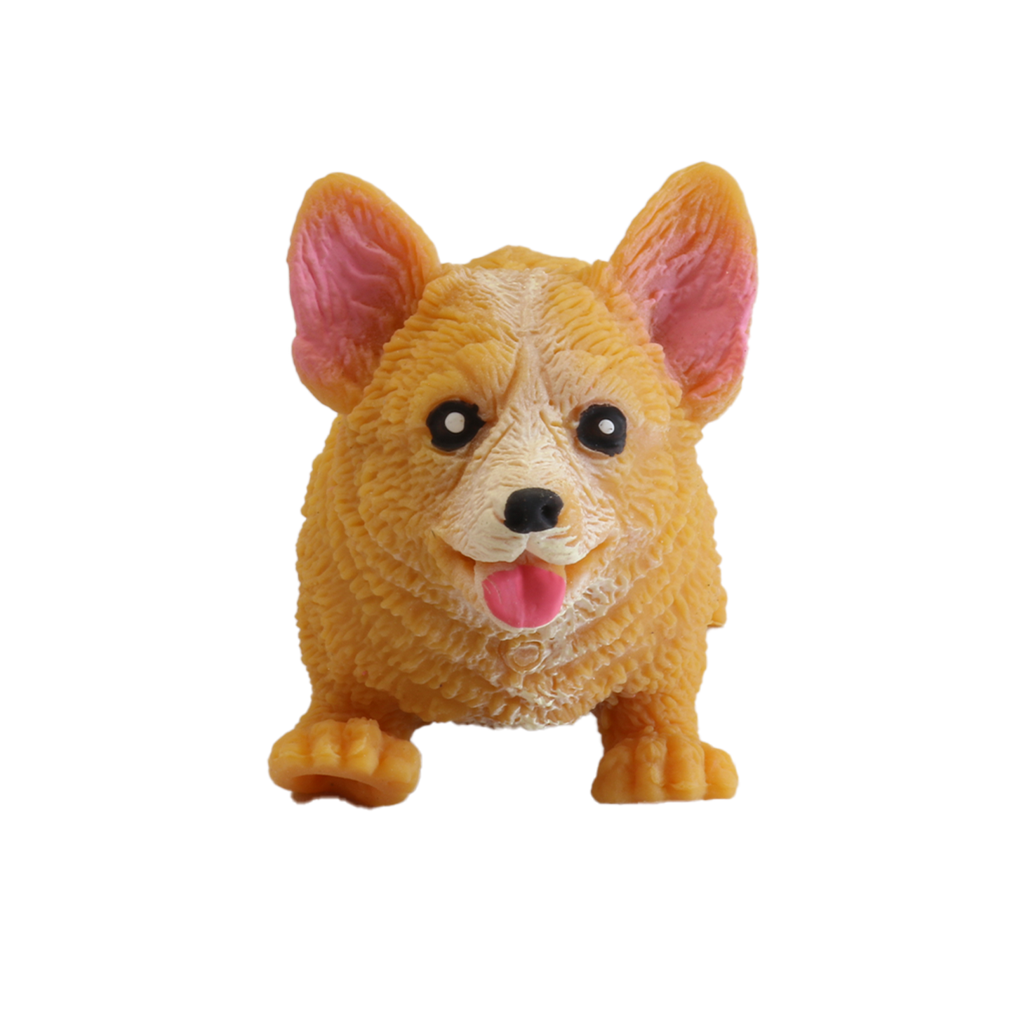 Stretchi Corgi