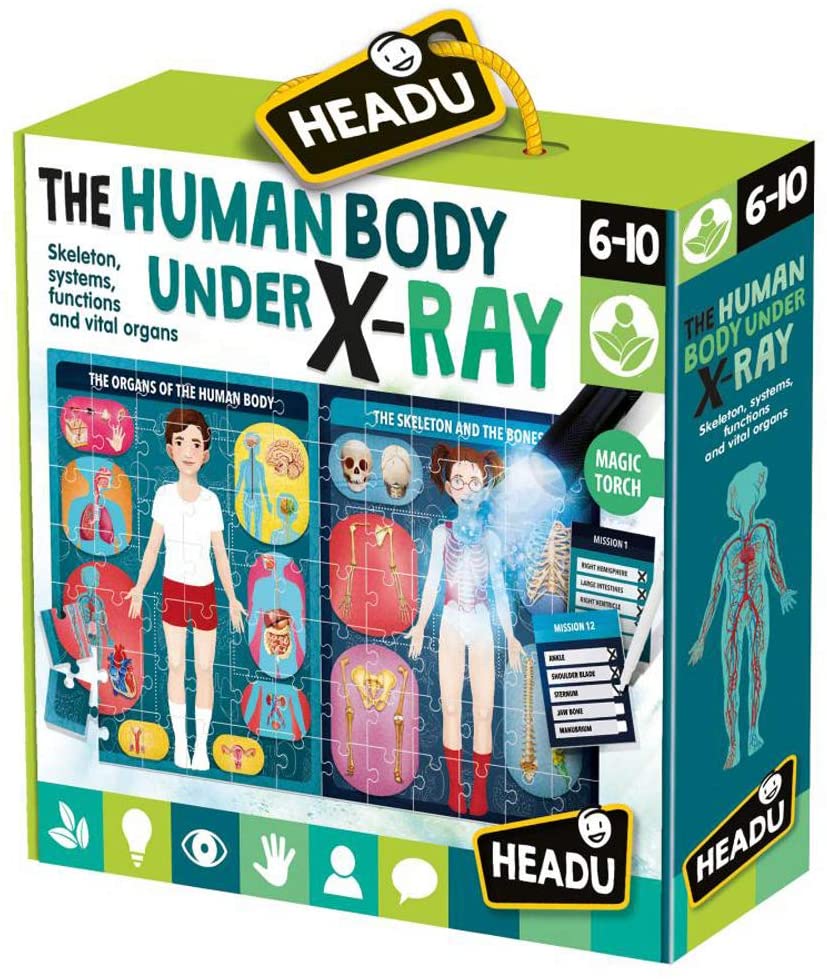 Headu Toys For Children Learning The Human Body under X-Ray