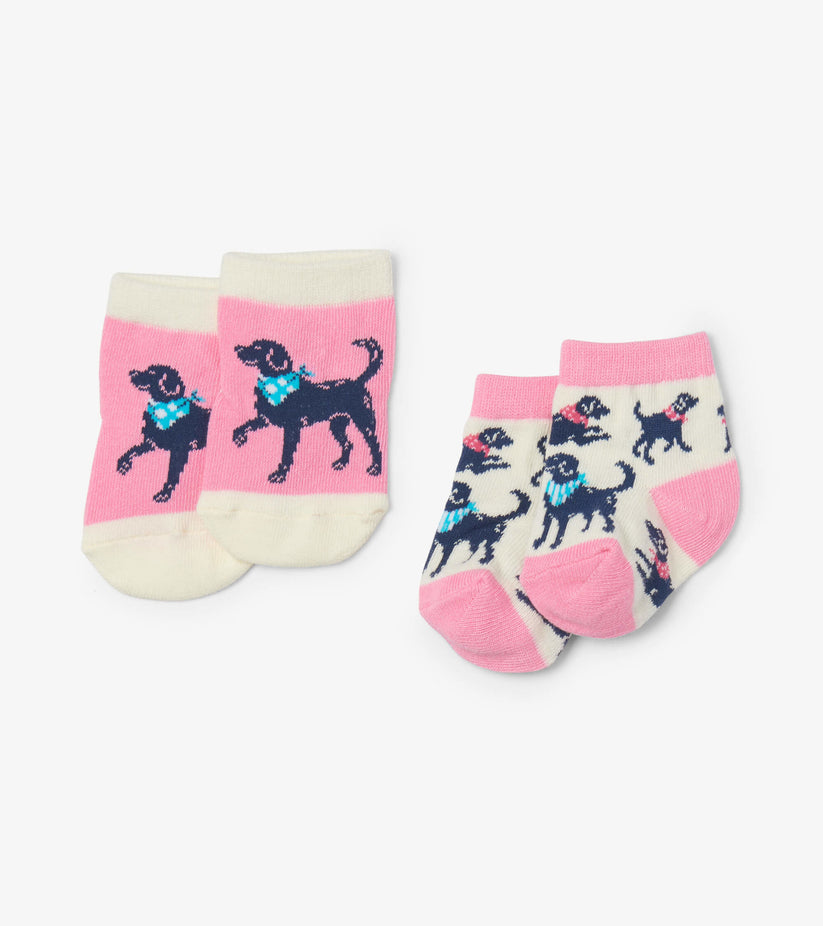 Little Blue House  Bandana Labs 2 Pack Baby Socks