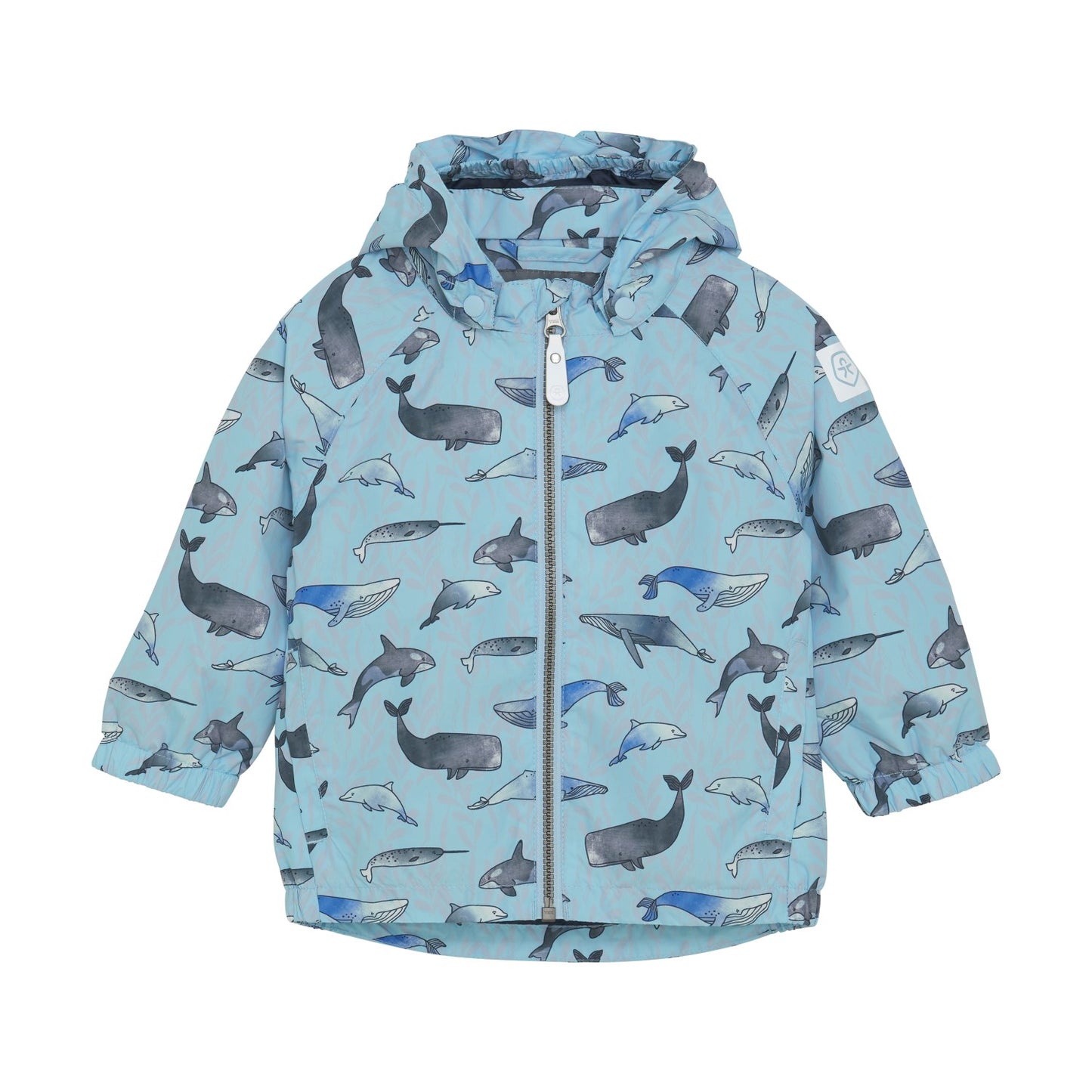 Color Kids - Boys Baby Rain Jacket